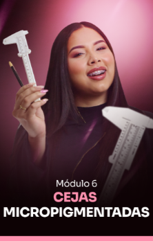 modulo-6.png
